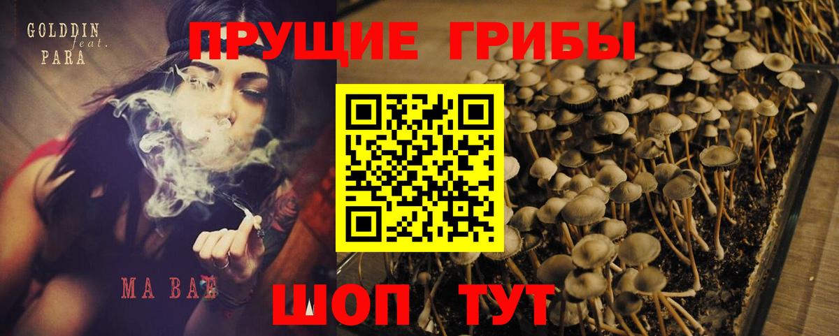 Псилоцибиновые грибы MAGIC MUSHROOMS  Вход с VPN  купить закладку  Волжск 